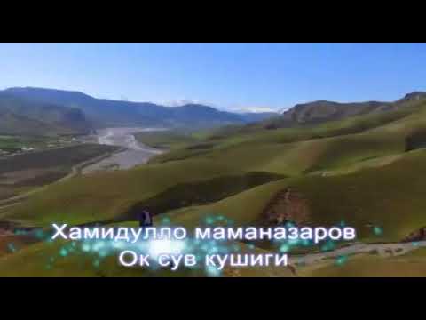 Видео: Хамуддуло маманазаров АК СУУ 👍🏽👍🏽👍🏽👍🏽👍🏽