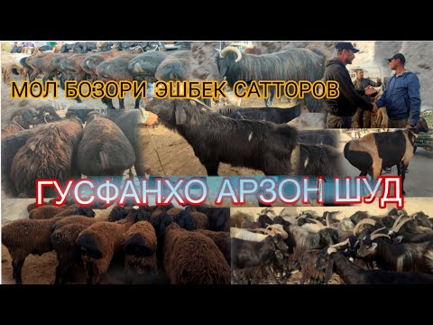 Видео: МОЛ БОЗОРИ НОХИЯИ ДУСТИ ЭШБЕК САТТОРОВ НАРХИ ГУСФАНХО