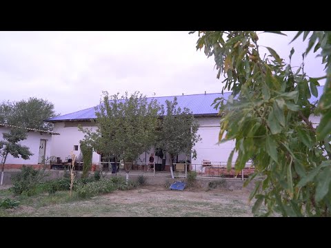 Видео: Үйлену той | Өстемір & Аружан | Құдасый | 06.10.2023