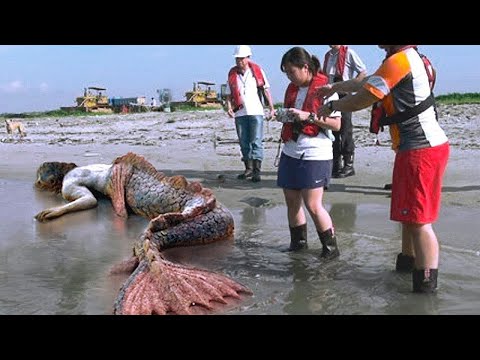 Видео: Самые Странные Вещи, Найденные на Пляже