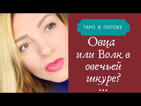 Видео: Мой новый знакомый-любовник или просто друг? А может волк в овечьей шкуре?