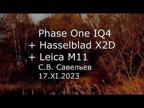 Видео: С.В. Савельев - Phase One IQ4 + Hasselblad X2D + Leica M11