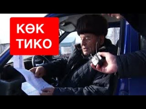 Видео: АРАВАНДЫН БӨРҮСҮ. КӨК ТИКОСУН МИНИП АЛЫП.