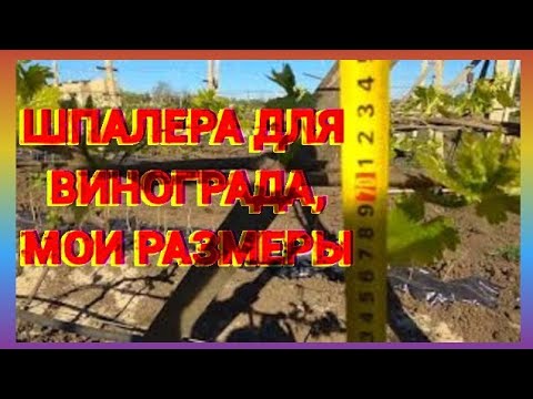 Видео: Шпалера для винограда,мои размеры
