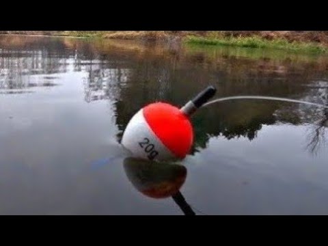 Видео: ПОПАЛ НА ВЫХОД ЩУКИ!!КАТУШКА ПОПАЛАМ,РЫБАЛКА НА ПОПЛАВОК 2025,РЫБАЛКА НА ЖИВЦА ОСЕНЬЮ,Спининг