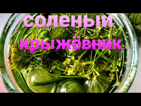 Видео: СОЛЁНЫЙ КРЫЖОВНИК на зиму. Деликатес к мясу, к рыбе, к любым вторым блюдам. СУПЕР вкусно.