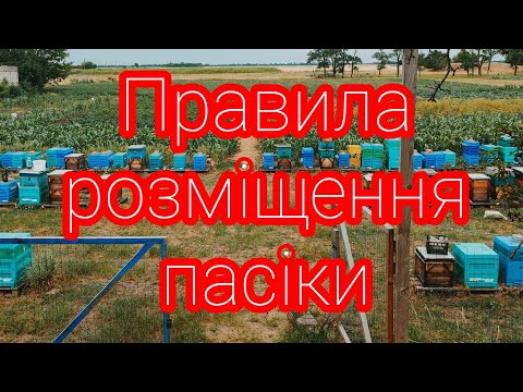Видео: ✅Як пасічнику захиститися від претензій сусідів?