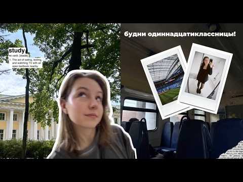 Видео: будни одиннадцатиклассницы: конец летних каникул, сборы по обществознанию и первое сентября!🍁