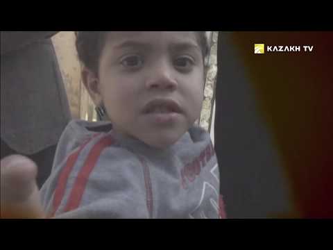 Видео: Неліктен Сұлтан Бейбарыс басқарған кезең «Египеттің алтын дәуірі» аталды?