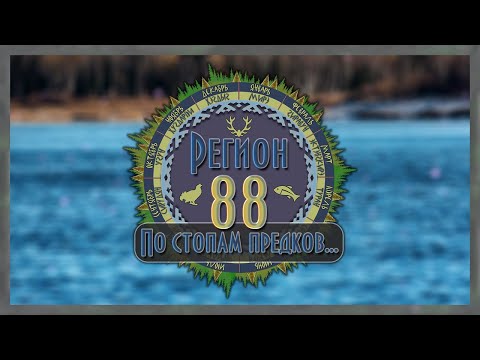 Видео: Регион 88 | Лоси на воде