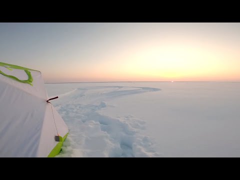 Видео: Рыбалка. Налим на стук, полный контакт.