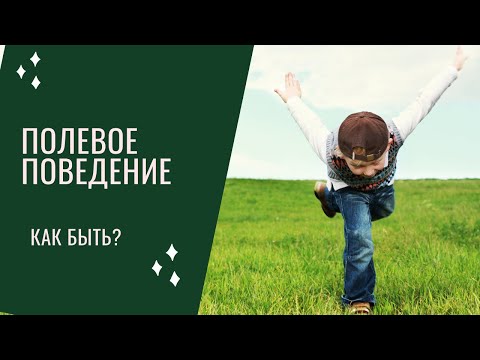 Видео: Ребёнок не хочет заниматься, полевое поведение