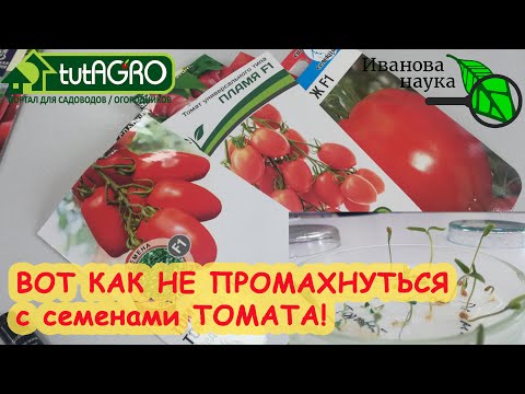 Видео: СЕМЕНА АЛТАЯ, ПАРТНЕР, ГАВРИШ... Сравнение всхожести семян томата от 6 брендов! От 0 до 100 %! Кто??