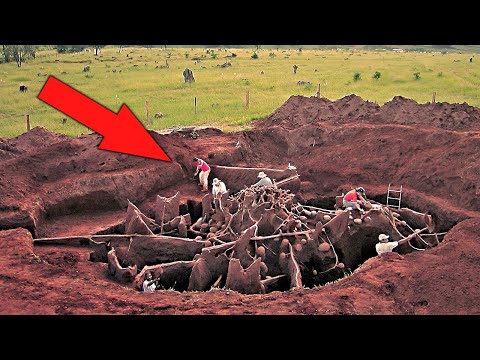 Видео: В Китае обнаружили гигантскую воронку с первобытным лесом внутри