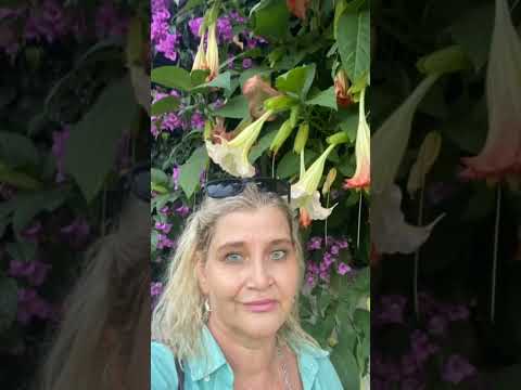 Видео: Абхазия 2025