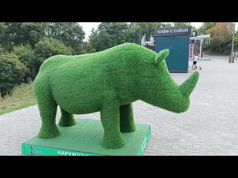 Видео: Белки! Гуляем в парке Семхоз. Саратов.