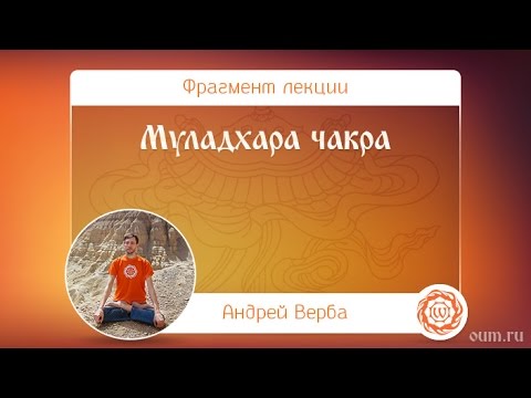 Видео: Муладхара чакра. Андрей Верба