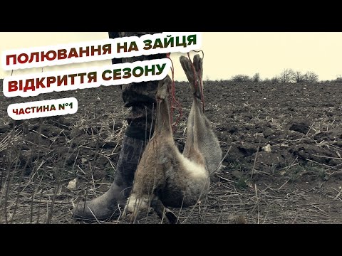 Видео: Полювання на зайця - відкриття сезону (частина №1) / Охота на зайца