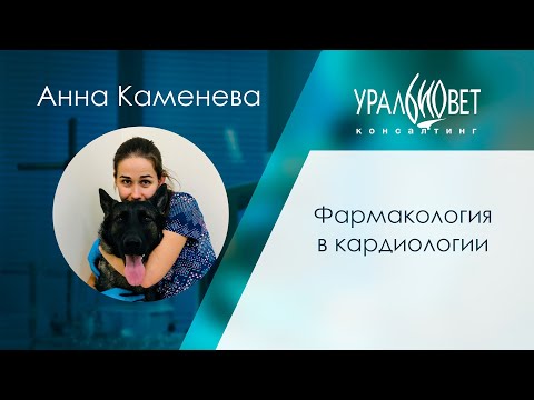 Видео: Фармакология в кардиологии, лектор Анна Каменева #убвк_кардиология
