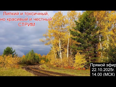 Видео: Стрим в среду.