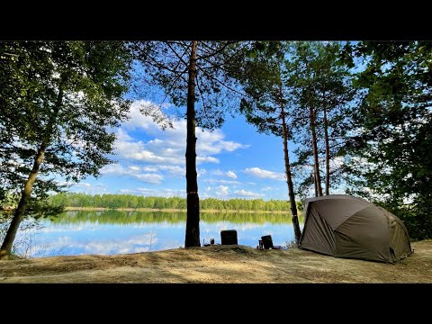 Видео: КОРОП ЦЕ ПРОСТО - Осіння рибалка на коропа