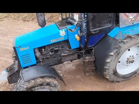 Видео: Виталик и Димон