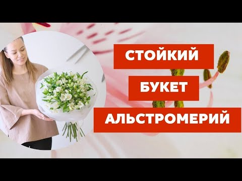 Видео: Букет из альстромерии // Альстромерия особенности работы // флористика для начинающих