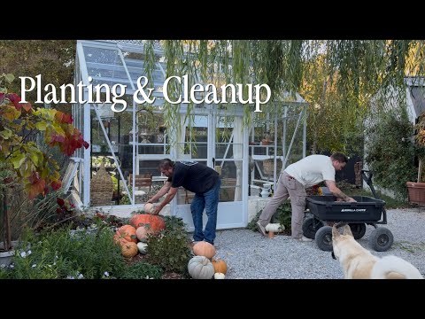 Видео: Высаживаю овощи на клумбах 🧄 🧅 || Посетите наш сад