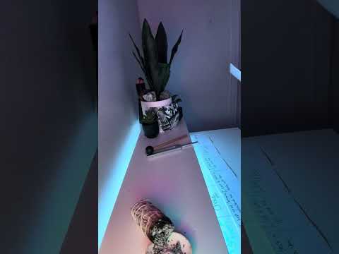 Видео: Чай сочный и очень горячий. Это ценная информация, выслушайте его 😳