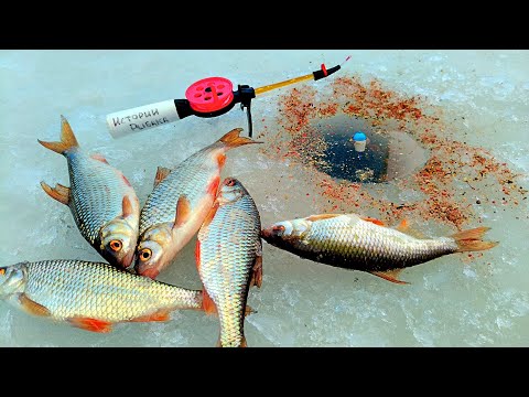 Видео: ЧИТЕРСКИЙ СПОСОБ ЛОВЛИ ПЛОТВЫ!!! ЛОВЛЮ ПЛОТВУ НА МАЛЕНЬКИЕ МОРМЫШКИ!!!