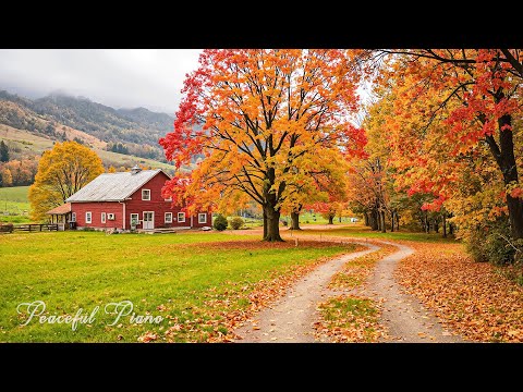 Видео: Прекрасная осенняя музыка 🍁 Спокойная осенняя гармония для отдыха, размышлений и внутреннего покоя