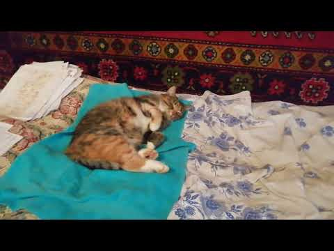 Видео: Блок УКВ 2-2-Е пробное включение после перестройки