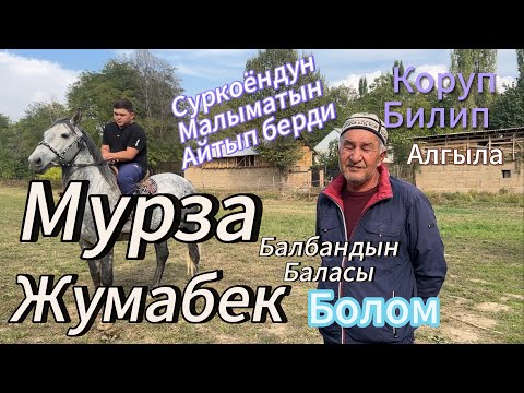 Видео: Сур коендун маалыматы