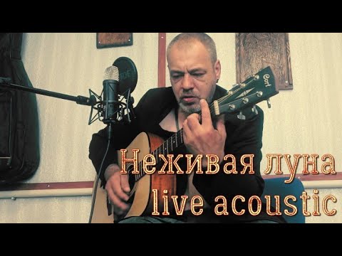 Видео: Неживая луна live acoustic 06.25