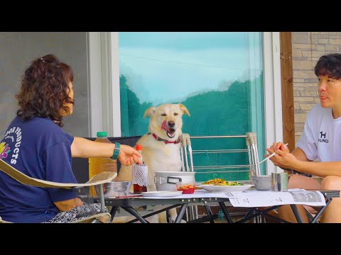 Видео: Лучший день моей собаки на ферме бабушки 🌾🐶 Расслабляющая загородная жизнь