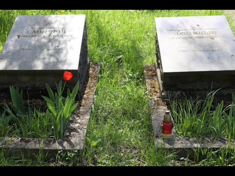 Видео: У Львові розпочали ексгумацію радянських поховань із Пагорба Слави