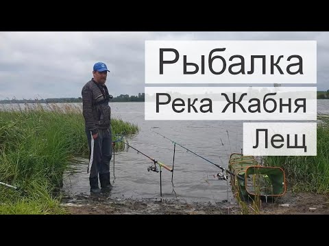 Видео: Рыбалка в Калязине на реке Жабня