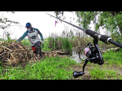 Видео: Різниця між ДОРОГИМ І БЮДЖЕТНИМ КОМПЛЕКТАМИ 🎣 Доступний спінінг, котушка, шнур.