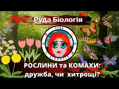 Видео: Рослини та комахи: дружба, чи хитрощі? (Руда Біологія)