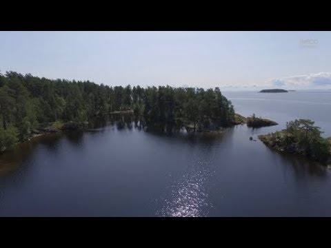 Видео: Поход на Онежское озеро 13 - 27 июля 2019г Шардонские острова Природа Lake Onega Nature.