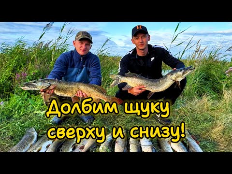 Видео: Рыбалка и подводная охота на реке Убаган #рыбалка #крузак #подводнаяохота #щука