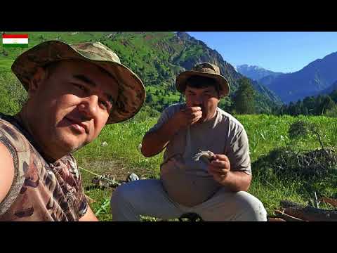 Видео: Таджикистан 🇹🇯. Ходжа Хасан. Full version. #followme​​#tajikistan​#followtajikistan​​#djiair3