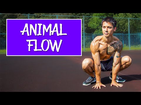 Видео: Тренировка ANIMAL FLOW! Комплекс упражнений с естественными движениями!