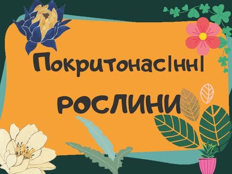 Видео: Покритонасінні  (Квіткові) рослини