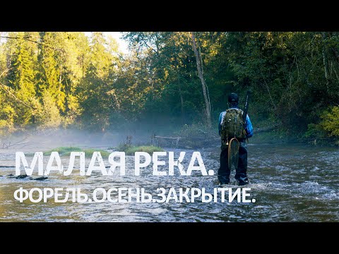 Видео: Рыбалка на лесной реке. Закрытие сезона по ручьевой форели.