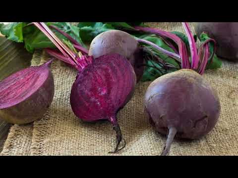 Видео: ҮЙ ГҮЛДЕРІНЕ ҚЫЗЫЛШАНЫҢ ПАЙДАСЫ. ПАЙДАЛЫ ТЫҢАЙТҚЫШ. ГҮЛДЕР ӘЛЕМІ