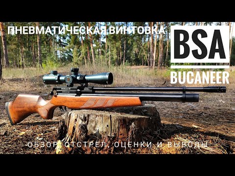 Видео: Пневматическая РСР винтовка  BSA Bucaneer SE. Полный обзор и полевой тест на мощность и точность.