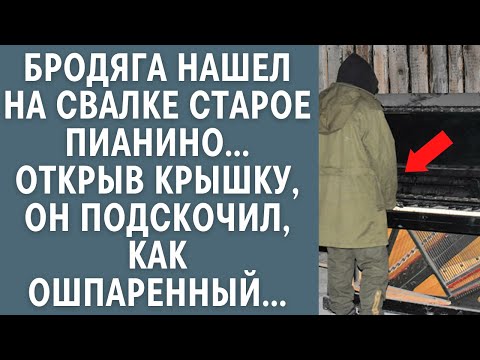 Видео: Бродяга нашел на свалке старое пианино… Открыв крышку, он подскочил, как ошпаренный…