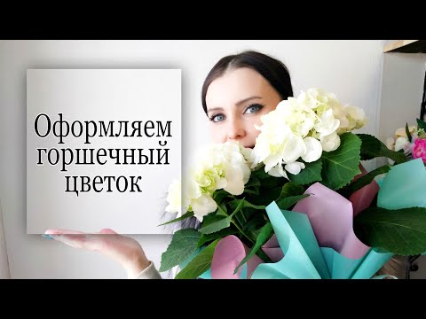 Видео: Как красиво упаковать горшечный цветок . 3 способа МК