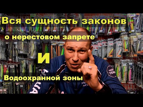 Видео: Вся правда о Нерестовом запрете и Водоохранной зоне. Можно ли оспорить решение суда?